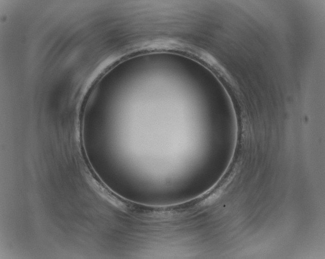 X0000072531232200607141154