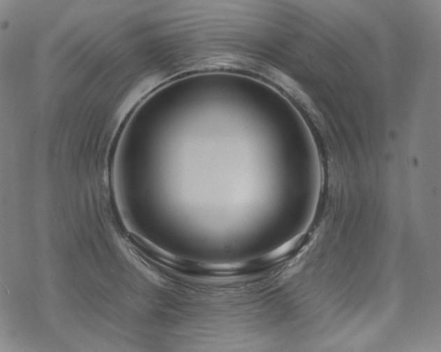 X0000072531234200607141154