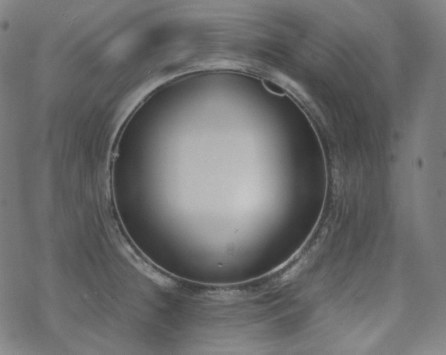 X0000072531236200607141154