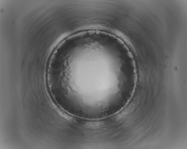 X0000072531237200607141154
