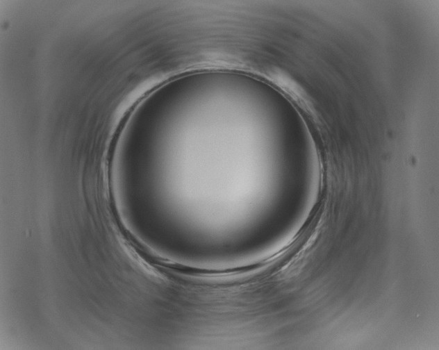 X0000072531238200607141154