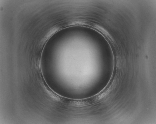 X0000072531241200607141154