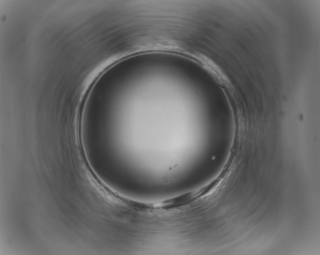 X0000072531246200607141154
