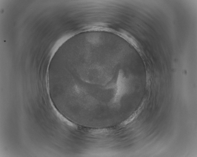 X0000072531247200607141154