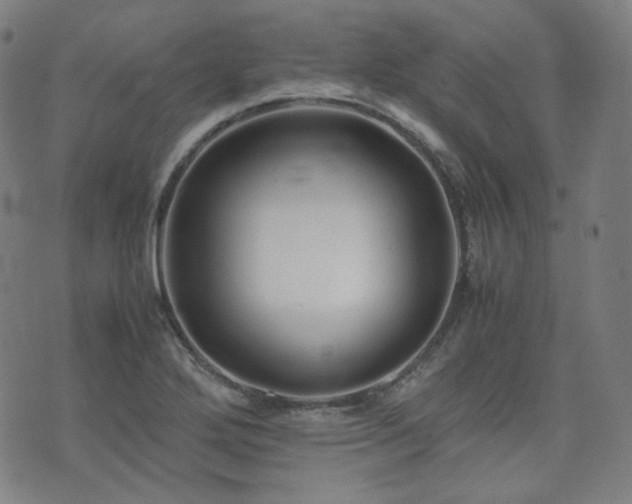 X0000072531272200607141153