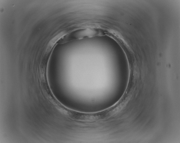 X0000072531273200607141153