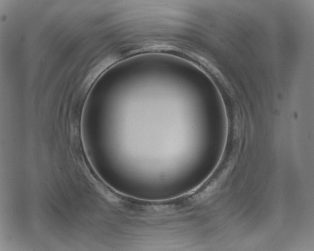 X0000072531281200607141153