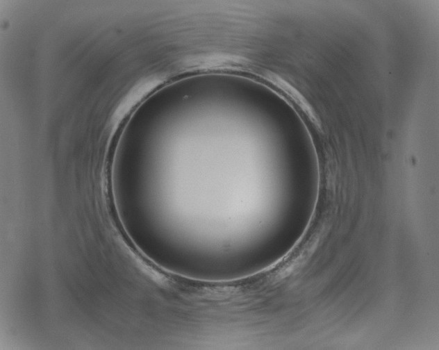 X0000072531285200607141153