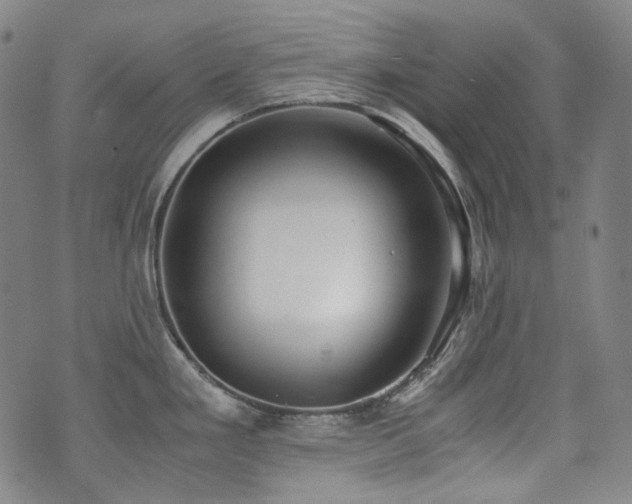 X0000072531293200607141153