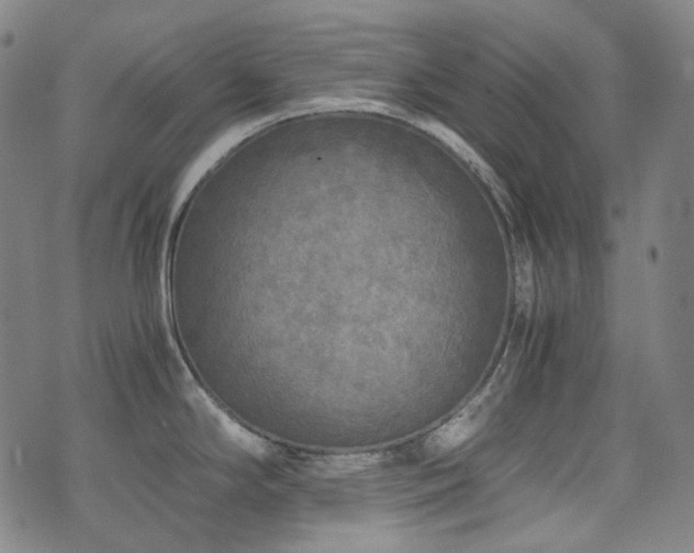 X0000072531294200607141153