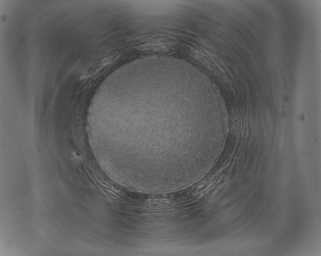 X0000072531297200607141152