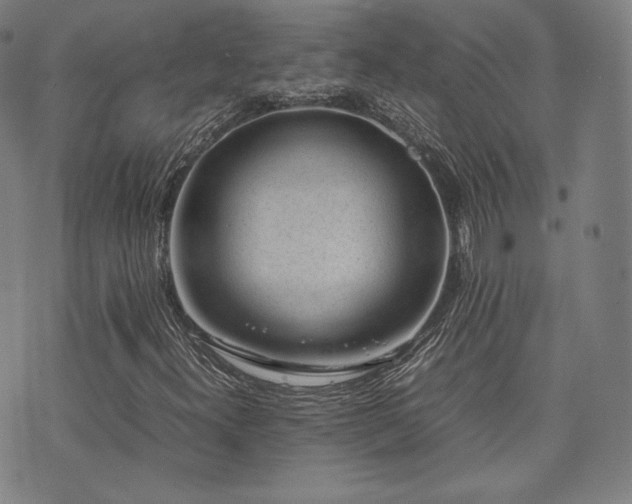 X0000072531300200607141152
