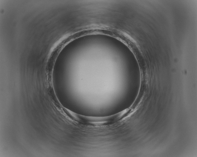 X0000072531310200607141152