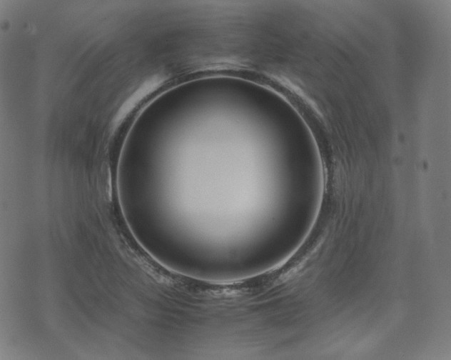 X0000072531317200607141152