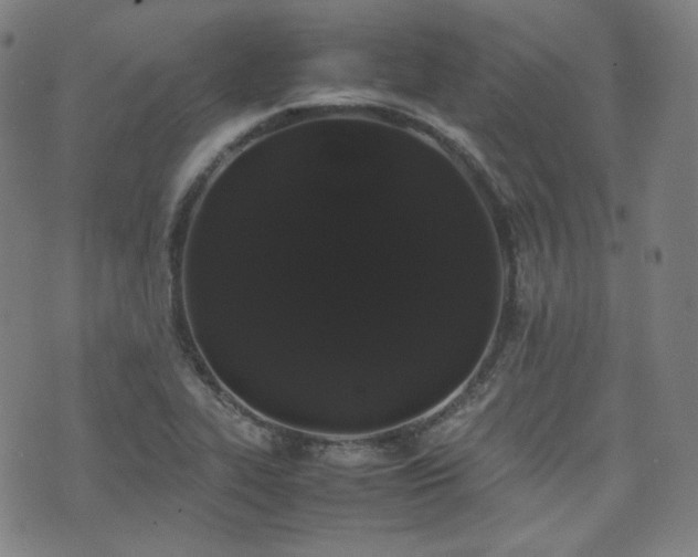 X0000072531319200607141152