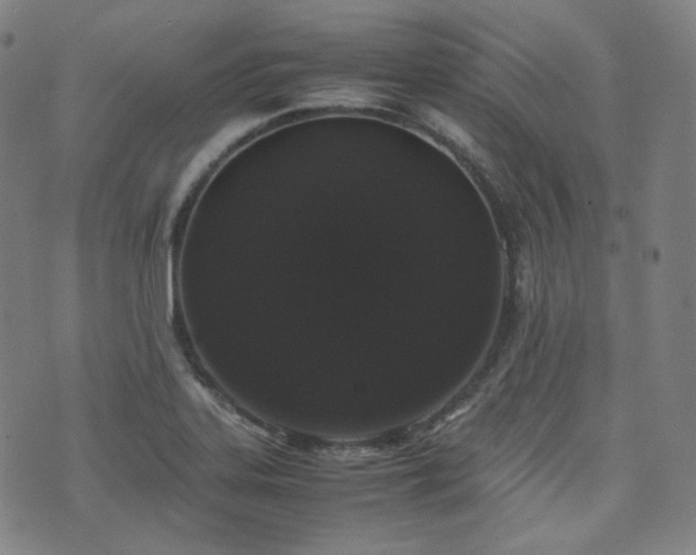 X0000072531323200607141152