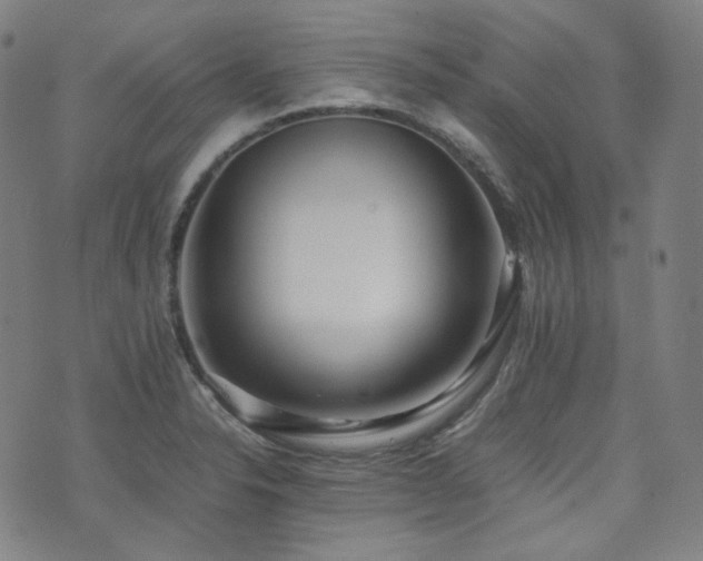 X0000072531326200607141153