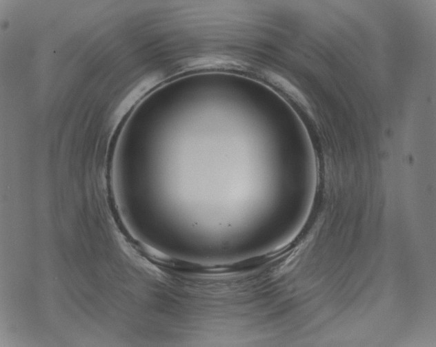 X0000072531330200607141153