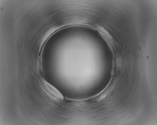 X0000072531340200607141153
