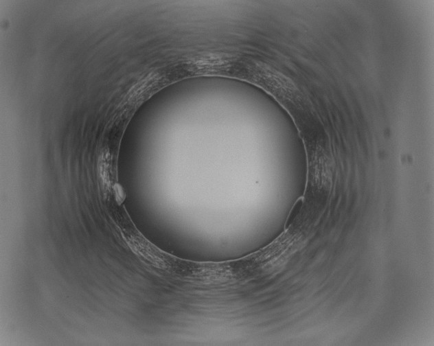 X0000072531346200607141152