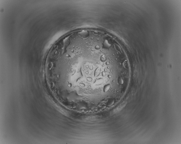 X0000072531367200607141152
