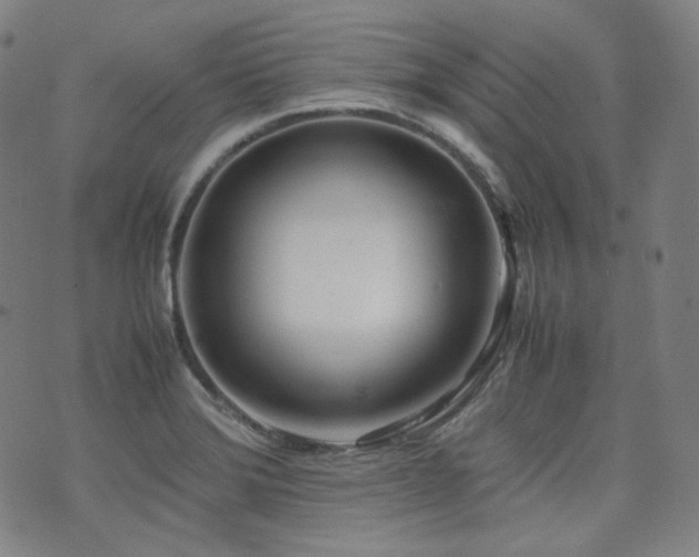 X0000072531372200607141152