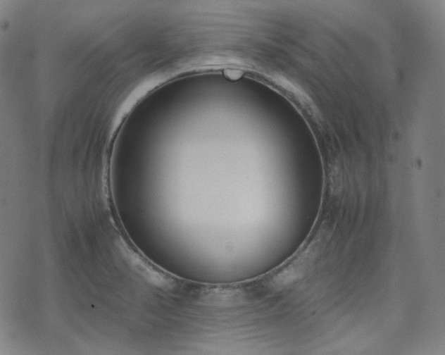 X0000072531374200607141152