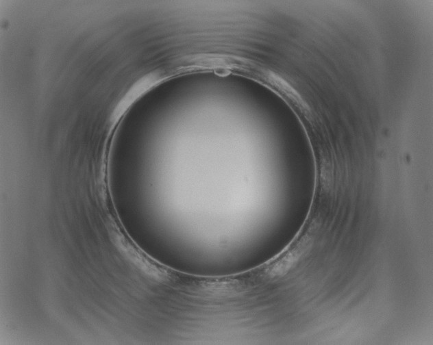 X0000072531378200607141151