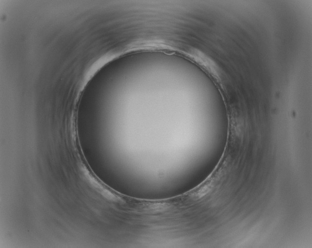 X0000072531382200607141151