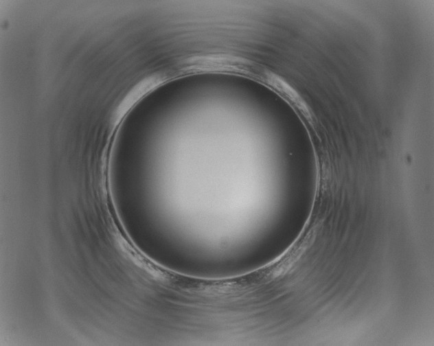 X0000072531386200607141151