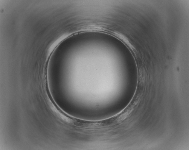 X0000072531387200607141151