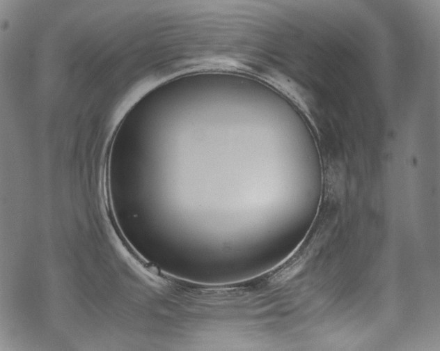 X0000072531391200607141151