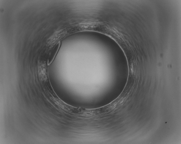 X0000072531396200607141151