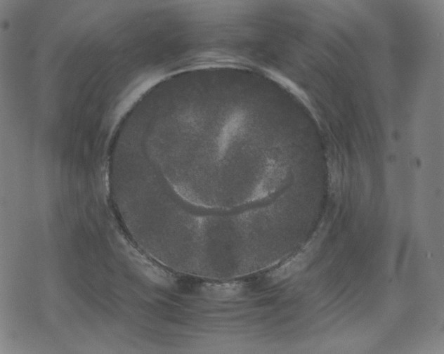 X0000072531415200607141151