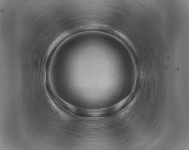 X0000072531418200607141151