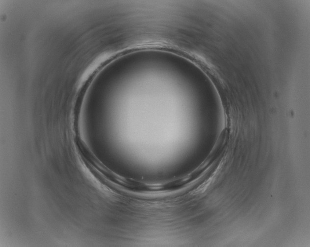 X0000072531422200607141151