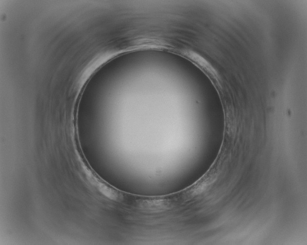 X0000072531431200607141151