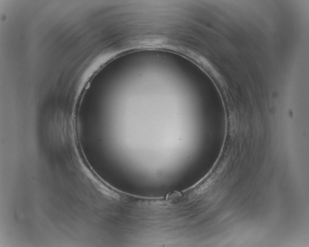 X0000072531432200607141151