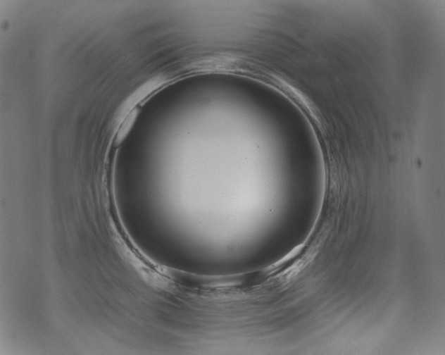 X0000072531434200607141151