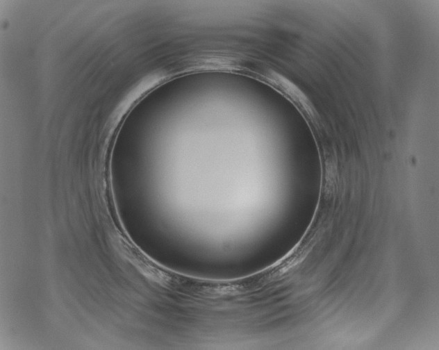 X0000072531435200607141151