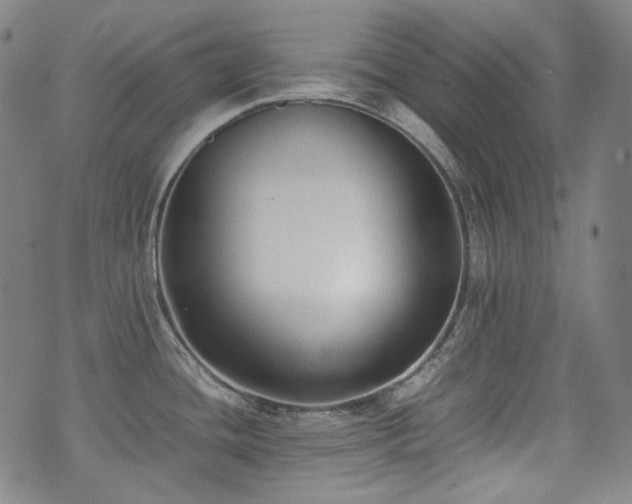 X0000072531436200607141151