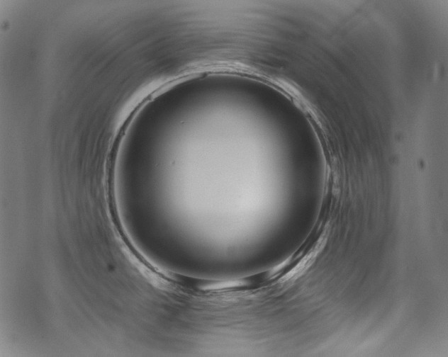 X0000072531438200607141151