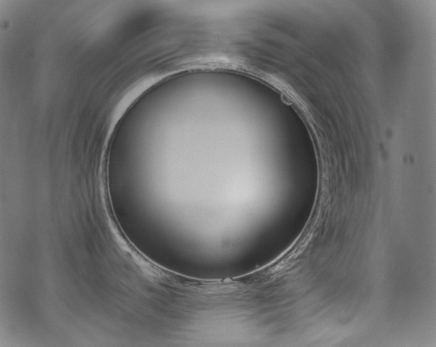 X0000072531440200607141151