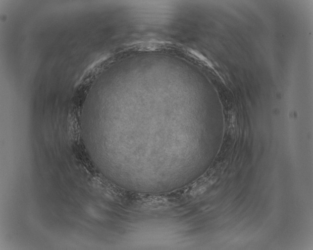 X0000072531446200607141150