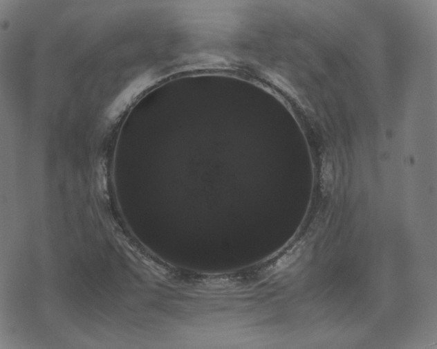 X0000072531455200607141150