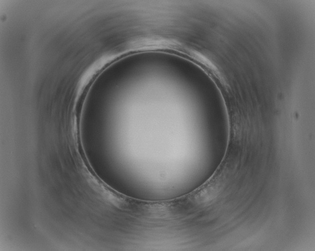 X0000072531472200607141150