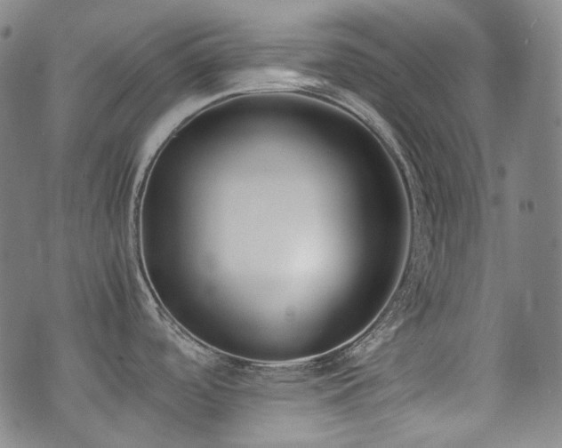X0000072531488200607141150