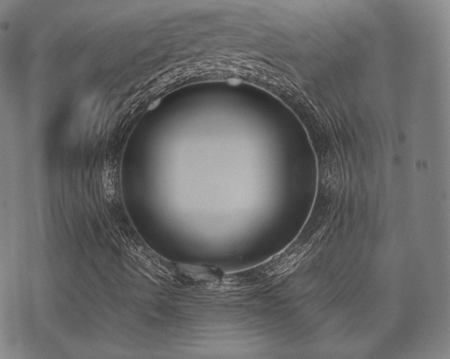 X0000072531490200607141149