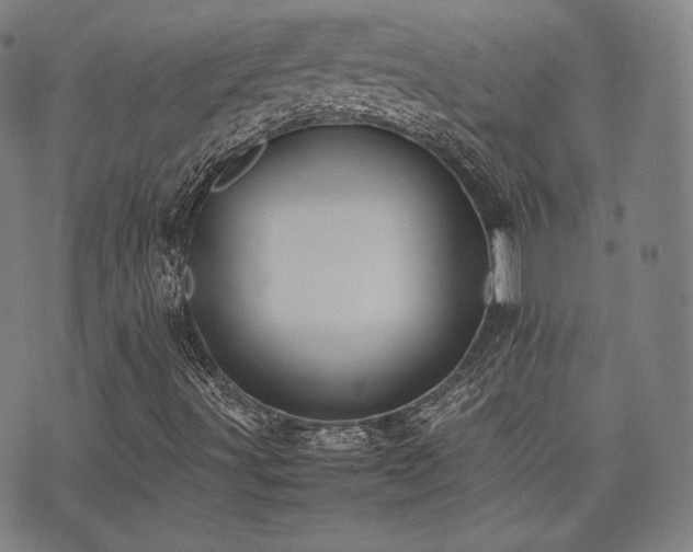 X0000072531491200607141149