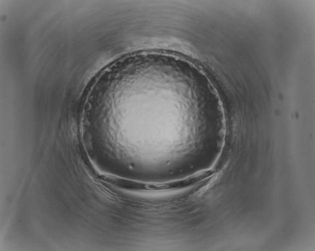X0000072531505200607141149